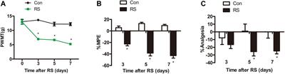 Nitric Oxide in the Spinal Cord Is Involved in the Hyperalgesia Induced by Tetrahydrobiopterin in Chronic Restraint Stress Rats